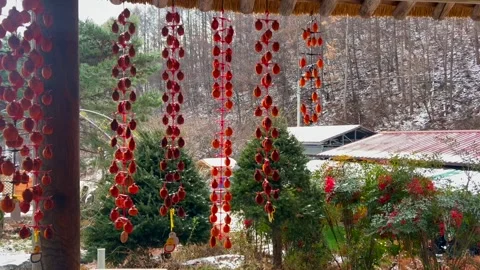 Garlands of persimmons hang gracefully under a thatched roof in a serene Asian Stock-Footage 325956003