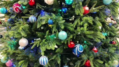 Garlands sparkle on the Christmas tree Stock Footage 151655158