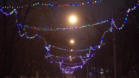 Garlands on the street Stock Footage 163567972