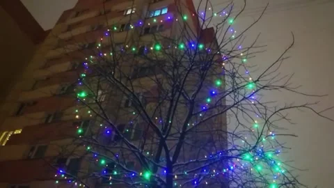 Garlands on a tree at night in winter with panel building on background Stock Footage 297285630