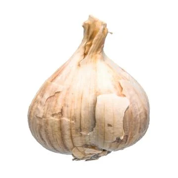 Garlic 3d rendering with realistic texture Stock Illustration
