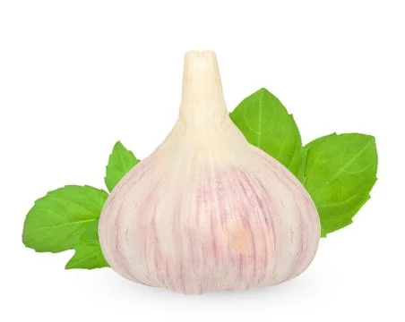 Garlic and basil Stock Photos