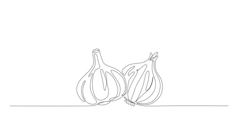 Garlic and Onion Continuous One Line Art Minimalist Vegetable Drawing Stock Footage 317364006
