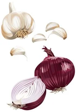 Garlic and onion 스톡 일러스트