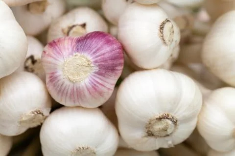Garlic and onion Stock Photos