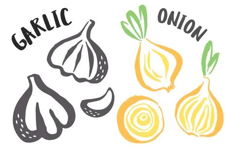 Garlic and onion set hand painted with ink brush Stock Illustration