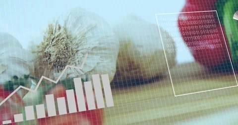 Garlic and tomatoes with financial data and binary code animation overlay Stock Footage 328240409