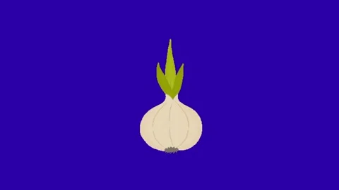 Garlic animation on chroma key background 库存影片 332338423