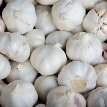 Garlic background Stock Photos