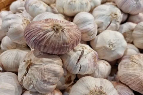 Garlic background Stock Photos
