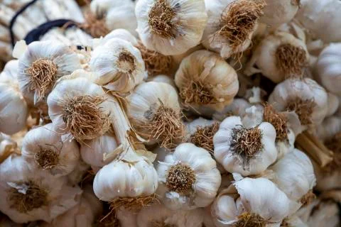 Garlic background. Selective focus Stock Photos
