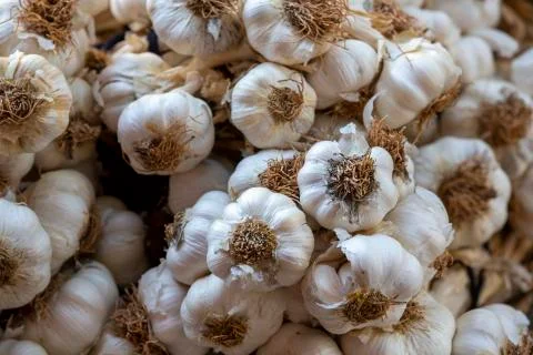 Garlic background. Selective focus Foto stock