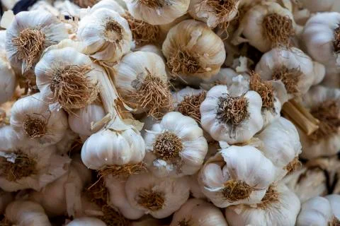 Garlic background. Selective focus Stock Photos