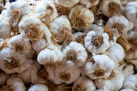 Garlic background. Selective focus Fotos Stock