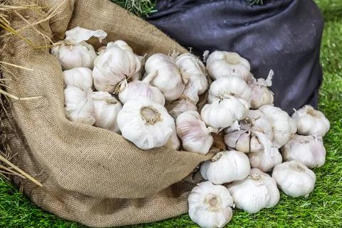 Garlic in a bag Stock Photos