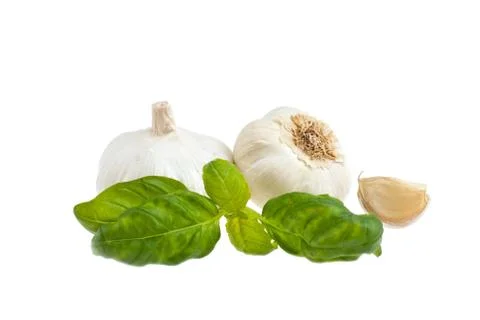 Garlic, basil. Stock Photos