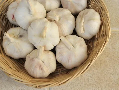 Garlic in basket Foto stock