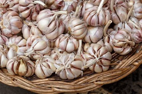 Garlic in a basket Stock Photos