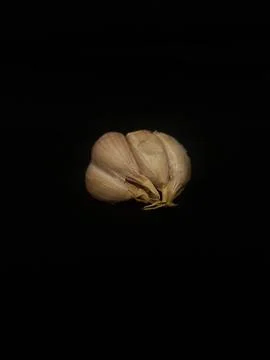 Garlic on black background Stock Photos