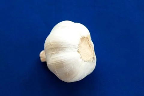 Garlic on blue background Stock Photos