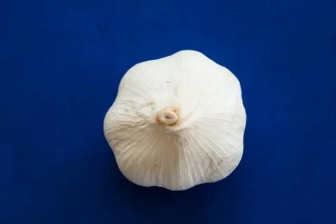 Garlic on blue background Stock Photos