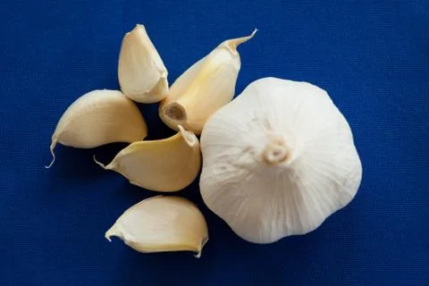 Garlic on blue background Stock Photos
