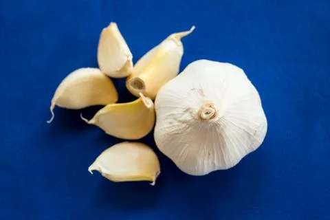 Garlic on blue background Stock Photos