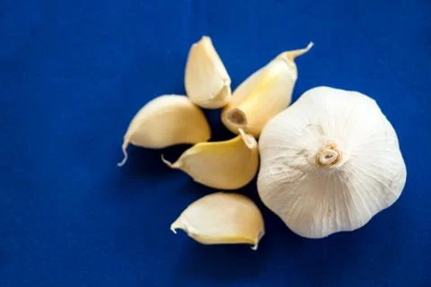 Garlic on blue background Stock Photos