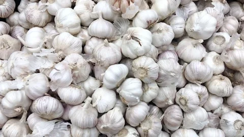 Garlic in a box Stock Footage 259889476