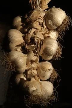 Garlic braid handing from the ceiling Stock Photos