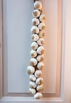 A garlic braid Stock Photos