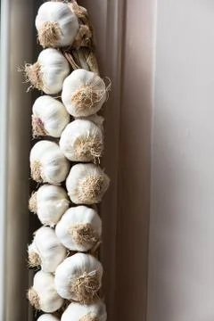 A garlic braid Stock Photos