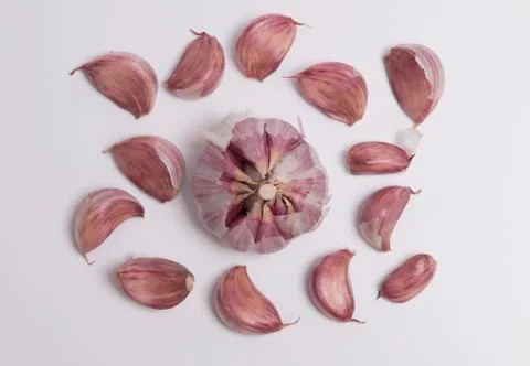 Garlic bulb and a individual cloves Stock Photos