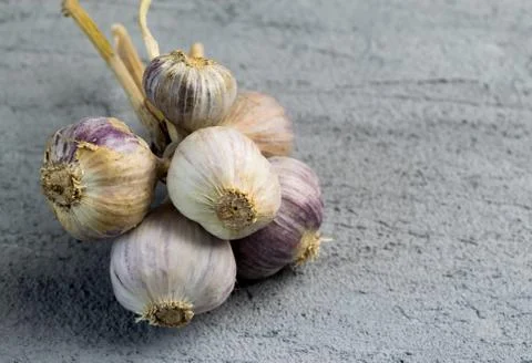 Garlic bulb bunch Stock Photos