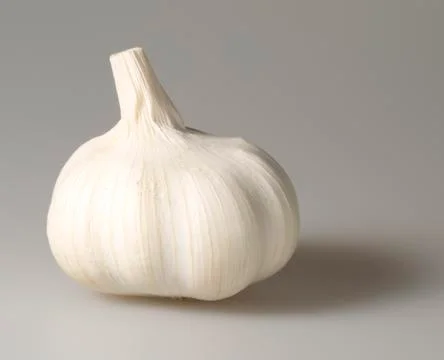 Garlic Bulb Close Up Foto stock