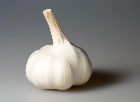 Garlic Bulb Close Up Stock Photos