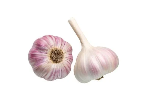 Garlic bulb composition isolated on white Stock Photos