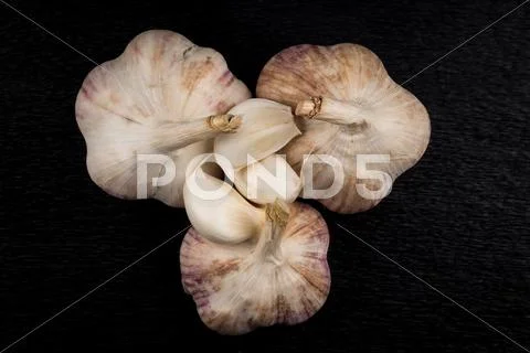 Garlic bulb on dark background Stock Photos