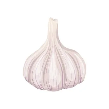 Garlic bulb in flat design. Spice for cooking, seasoning condiment. Vector .. Stock Illustration