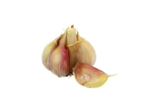 Garlic bulb isolated Stock Photos
