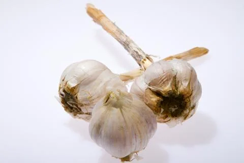 Garlic bulb isolated Stock Photos