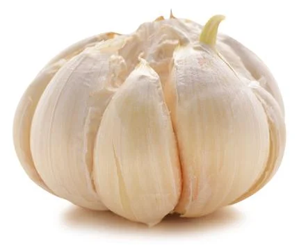 Garlic bulb isolated on white background Stock Photos