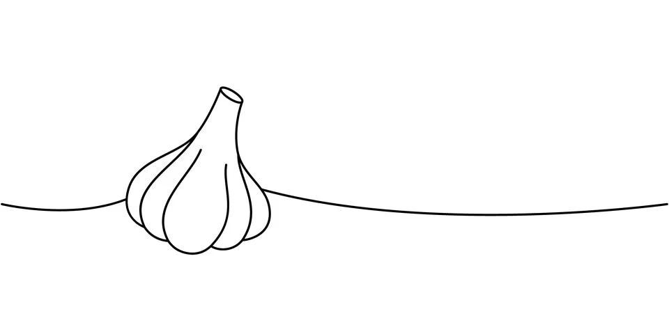 Garlic bulb one line continuous drawing. Fresh organic vegetable. Vector Stock Illustration