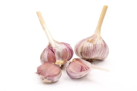 Garlic bulb Stock Photos