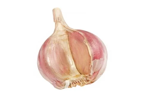 Garlic bulb. Stock Photos