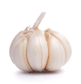 Garlic bulb Stock Photos