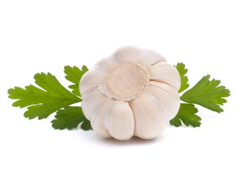 Garlic bulb Stock Photos