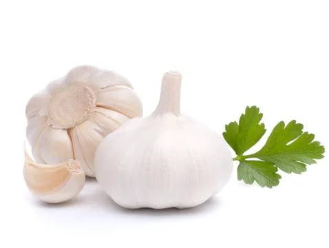 Garlic bulb Stock Photos