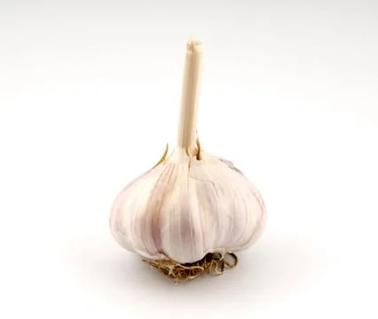 Garlic bulb Stock Photos