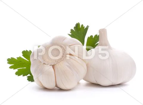 Garlic bulb Stock Photos